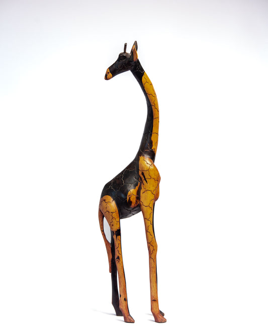 Twiga (Tanzanian Giraffe)